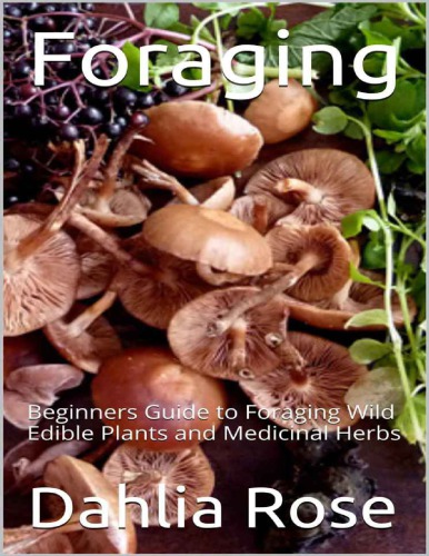 Foraging: Beginners’ Guide to