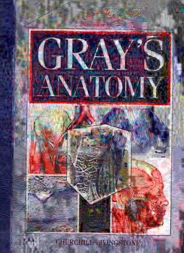 Gray's anatomy - the anatomical basis of medicine and surgery