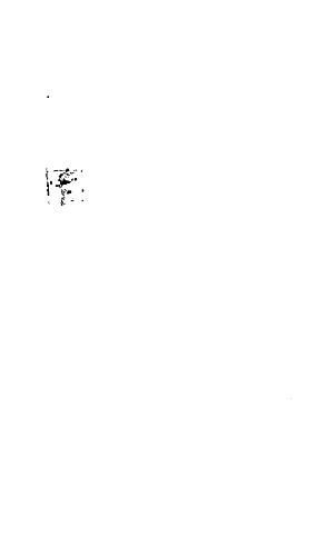 Astrophysics. A Primer .djvu new