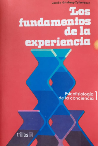 Los Fundamentos de la Experiencia