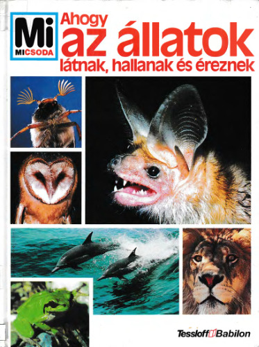 Ahogy ​az állatok látnak, hallanak és éreznek
