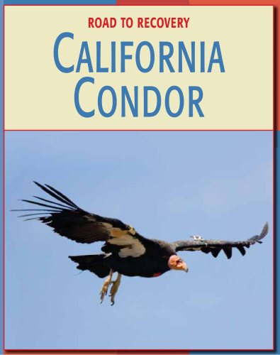 California Condor