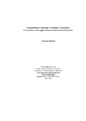Computational topology at multiple resolutions