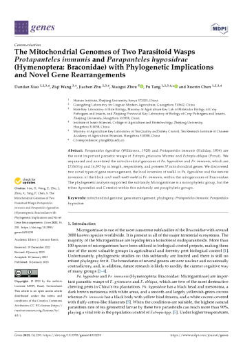 The Mitochondrial Genomes of Two Parasitoid Wasps Protapanteles immunis and Parapanteles hyposidrae (Hymenoptera: Braconidae) with Phylogenetic Implications and Novel Gene Rearrangements