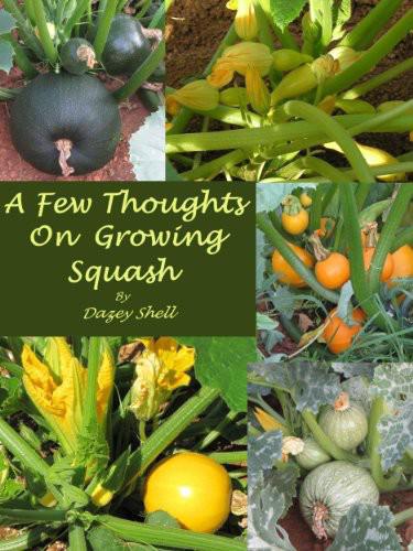 A Few Thoughts on Growing Squash