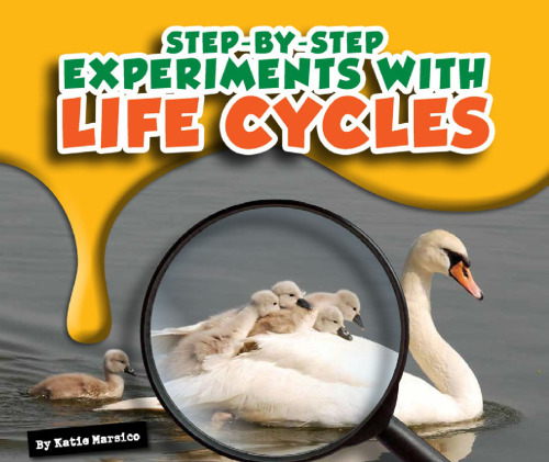 Step-by-Step Experiments with Life Cycles