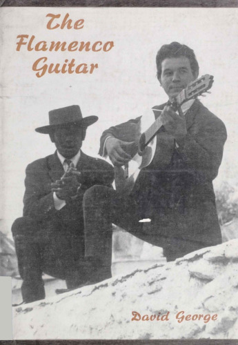 The Flamenco Guitar