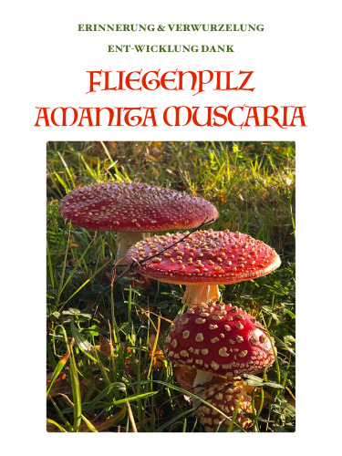 ERINNERUNG & VERWURZELUNG ENT-WICKLUNG DANK FLIEGENPILZ AMANITA MUSCARIA