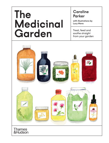 The Medicinal Garden: Treat, feed and soothe straight from your garden