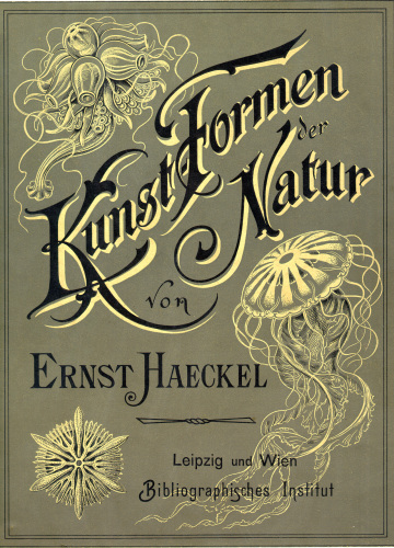 Kunstformen der Natur