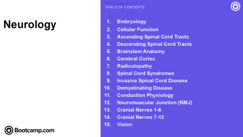 Neurology Bootcamp.com