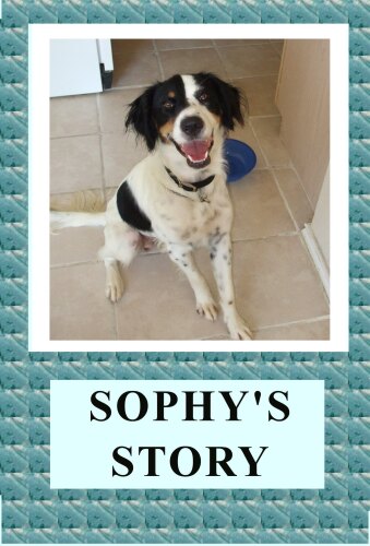 Sophy Goes to the Doggy Doctor