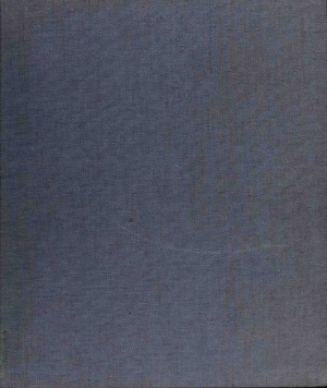 Modern Austrian Art