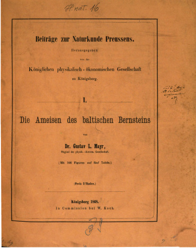 Die Ameisen des baltischen Bernsteins