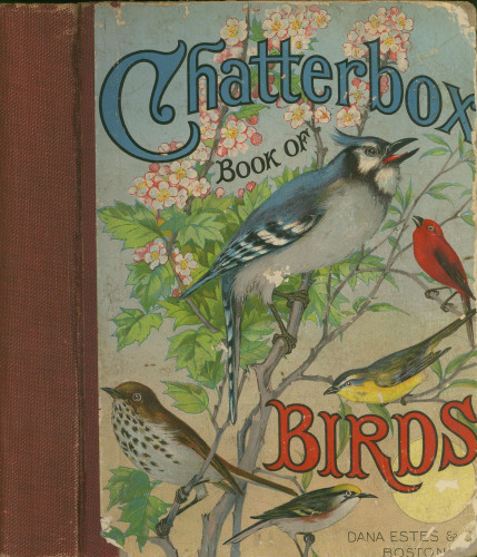 Chatterbox Book of Birds