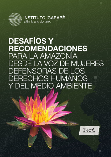 Desafíos y recomendaciones para la amazonía desde la voz de mujeres defensoras de los derechos humanos y del medio ambiente : Perú