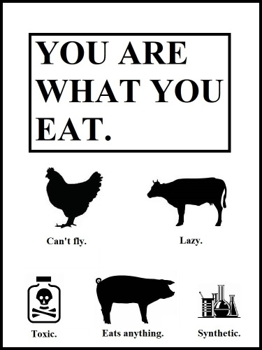 You Are What You Eat!: Healthy eating 101 (Metamorphosis Book 3)