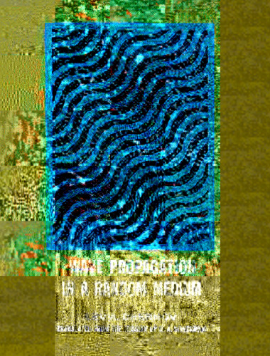 Wave Propagation in A Random Medium