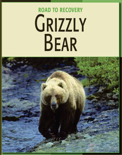 Grizzly Bear