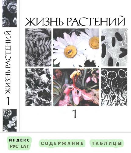 Жизнь растений