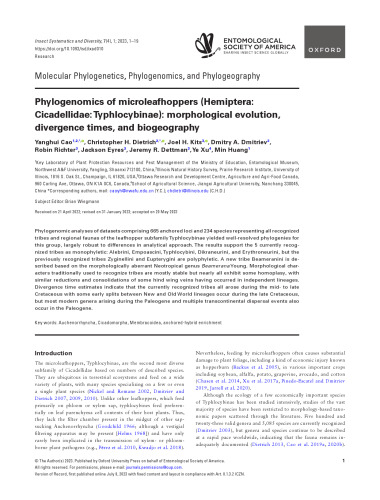 Phylogenomics of microleafhoppers (Hemiptera: Cicadellidae: Typhlocybinae): morphological evolution, divergence times, and biogeography