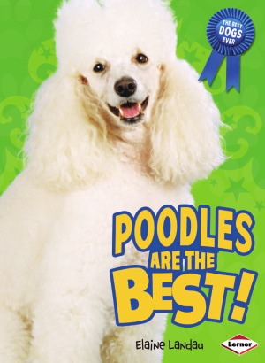 Poodles Are the Best!(Best Dogs Ever)