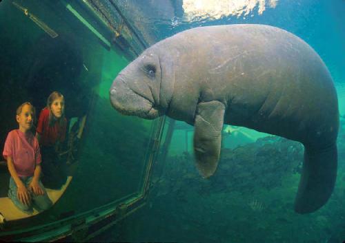 Underwater Photography (February/March 2004)