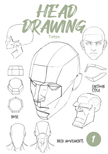Head Drawing