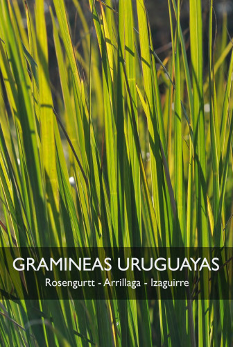 Las gramineas uruguayas