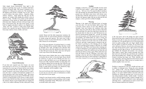Basic bonsai care I