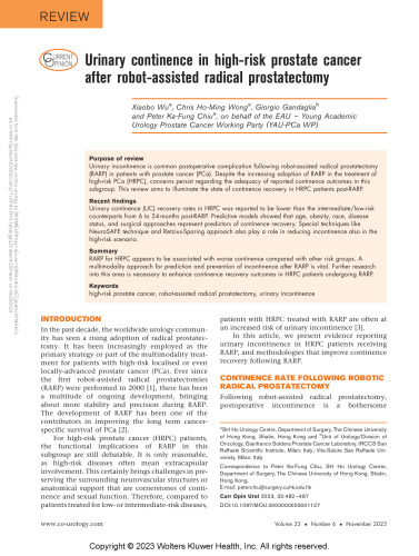 Urinary Continence in High-Risk Prostate Cancer After Robot-Assisted Radical Prostatectomy