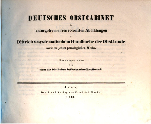 Deutsches Obstcabinet in naturgetreuen fein kolorierten Abbildungen zu Dittrichs systematischem Handbuche der Obstkunde sowie zu jedem pomologischen Werk