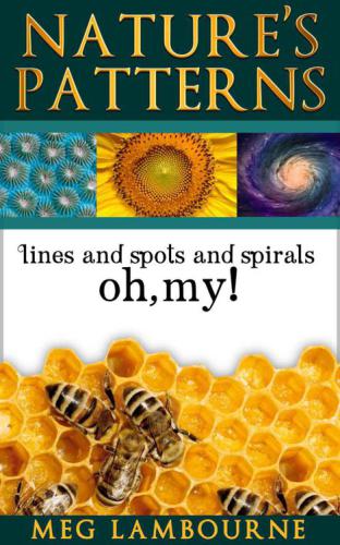 Nature's Patterns: Nature Photo Essay