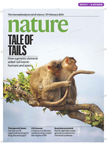 Nature - The International Journal of Science / 29 February 2024
