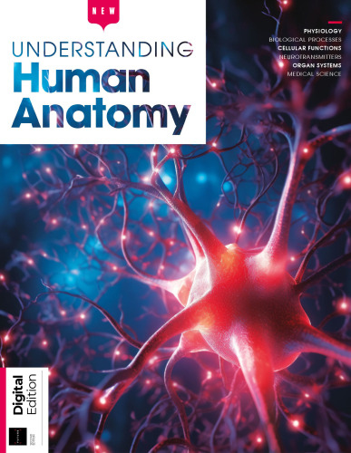 Understanding Human Anatomy