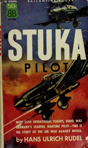 Stuka Pilot