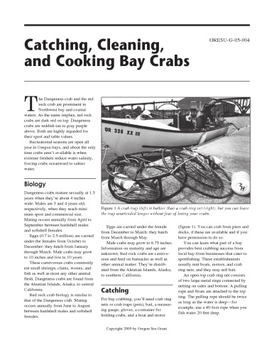 Catching, cleaning, and cooking bay crabs