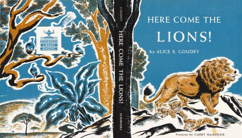 Here Come the Lions!