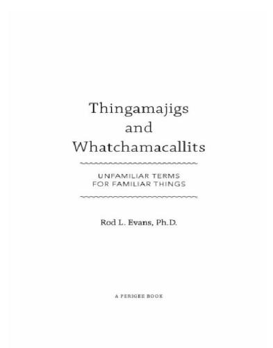 Thingamajigs and Whatchamacallits: Unfamiliar Terms for Familiar Things