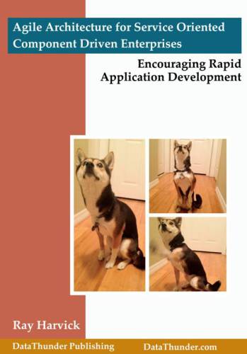 Agile Architecture for Service Oriented Component Driven Enterprises