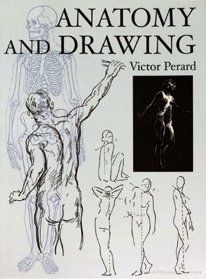 Anatomy and Drawing
