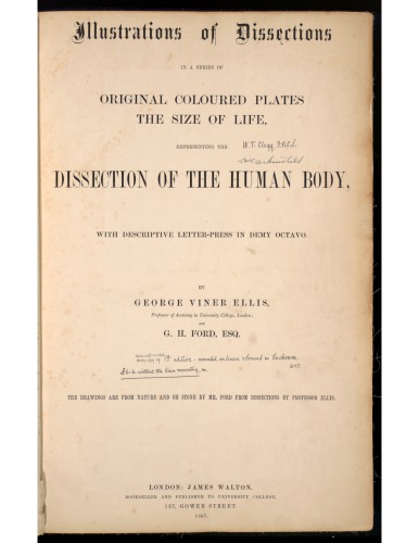 Illustrations of dissections