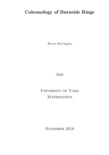 Cohomology of Burnside Rings