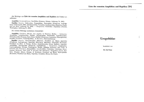 Uropeltidae