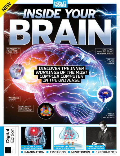 Inside Your Brain