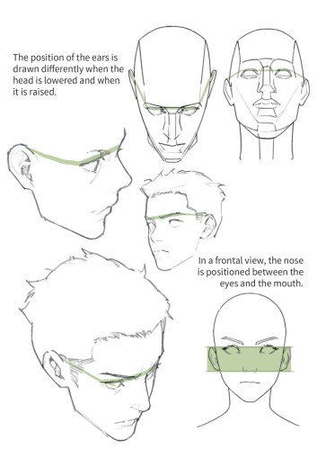 Head Drawing