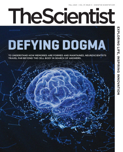 The Scientist