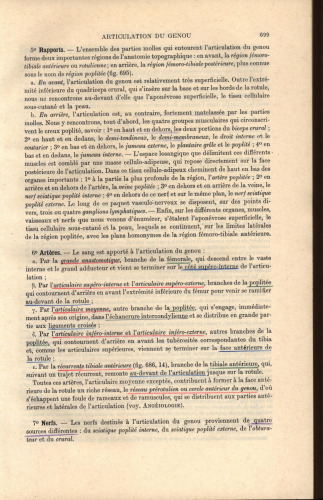 Traite d'anatomie humaine (part 2)