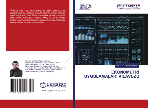 A Guide to Econometric Methods