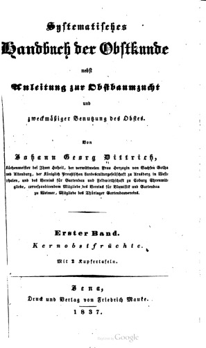 Kernobstfrüchte